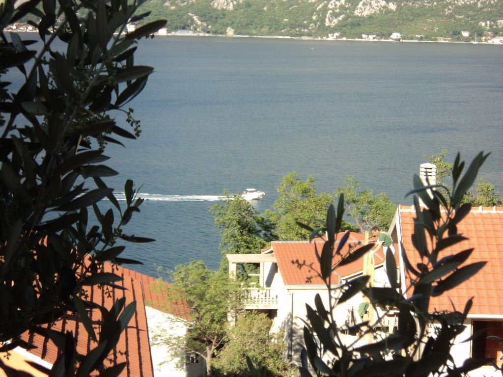 Guest House Pajovic Kotor Dış mekan fotoğraf