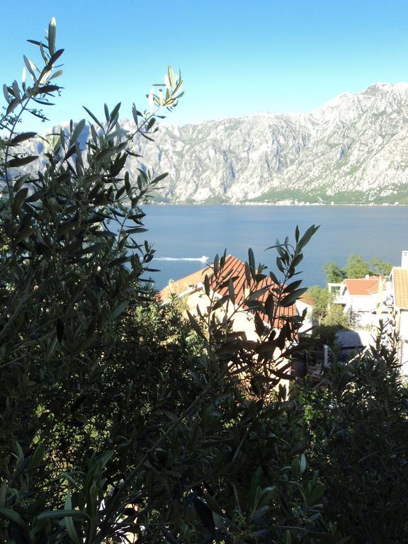 Guest House Pajovic Kotor Dış mekan fotoğraf